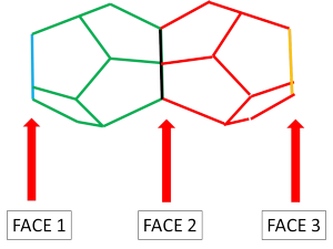 FACESDODECAHEDRON